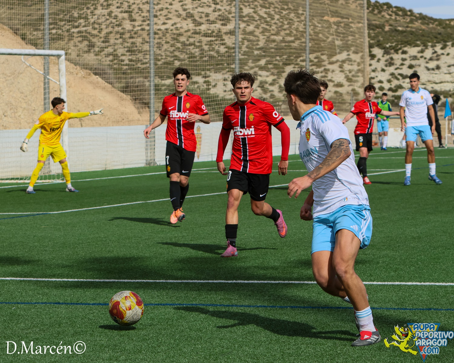 26 - 15-02-2026 - DHJ - R. Zaragza 1-1 RCD Mallorca (67)