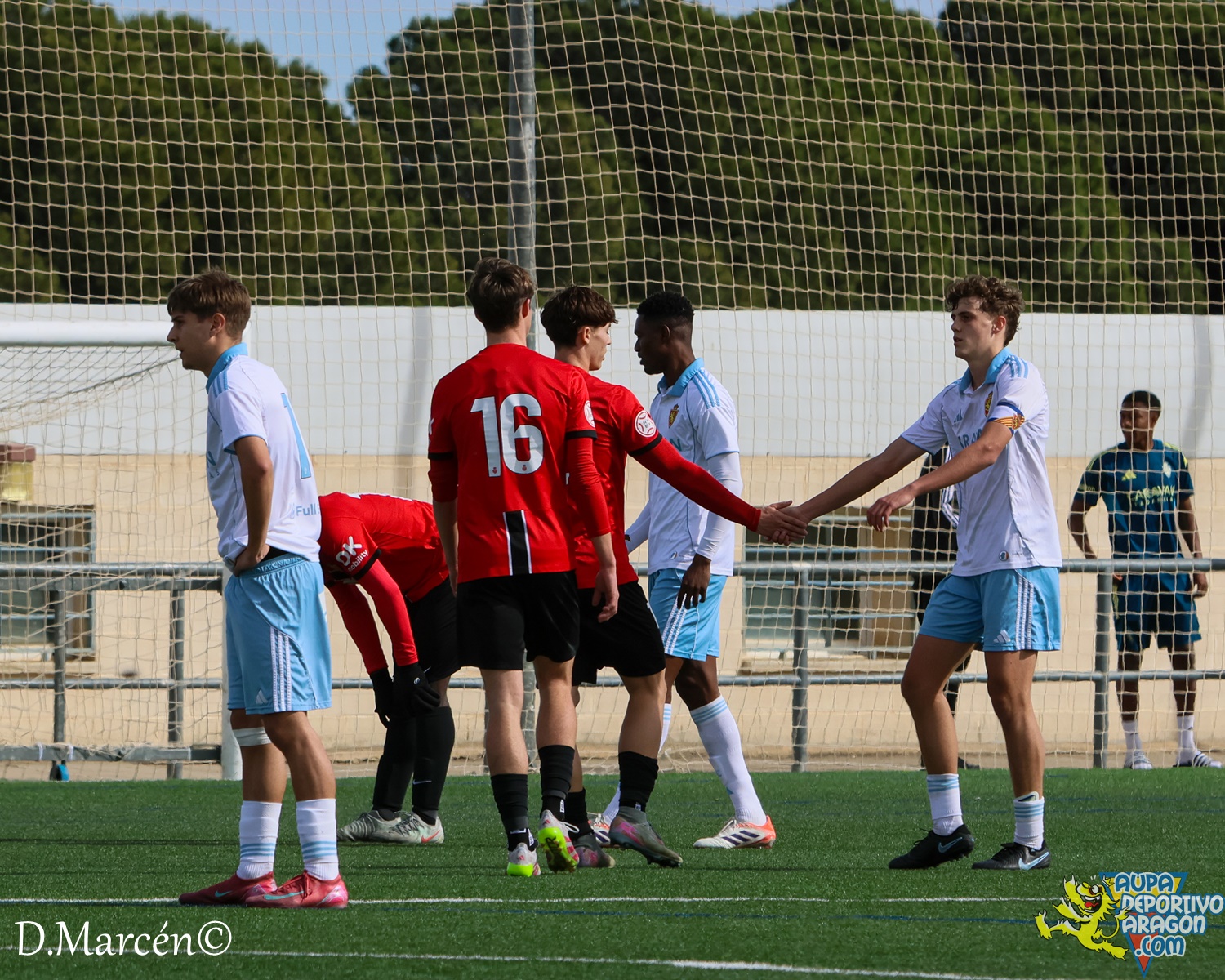 26 - 15-02-2026 - DHJ - R. Zaragza 1-1 RCD Mallorca (69)