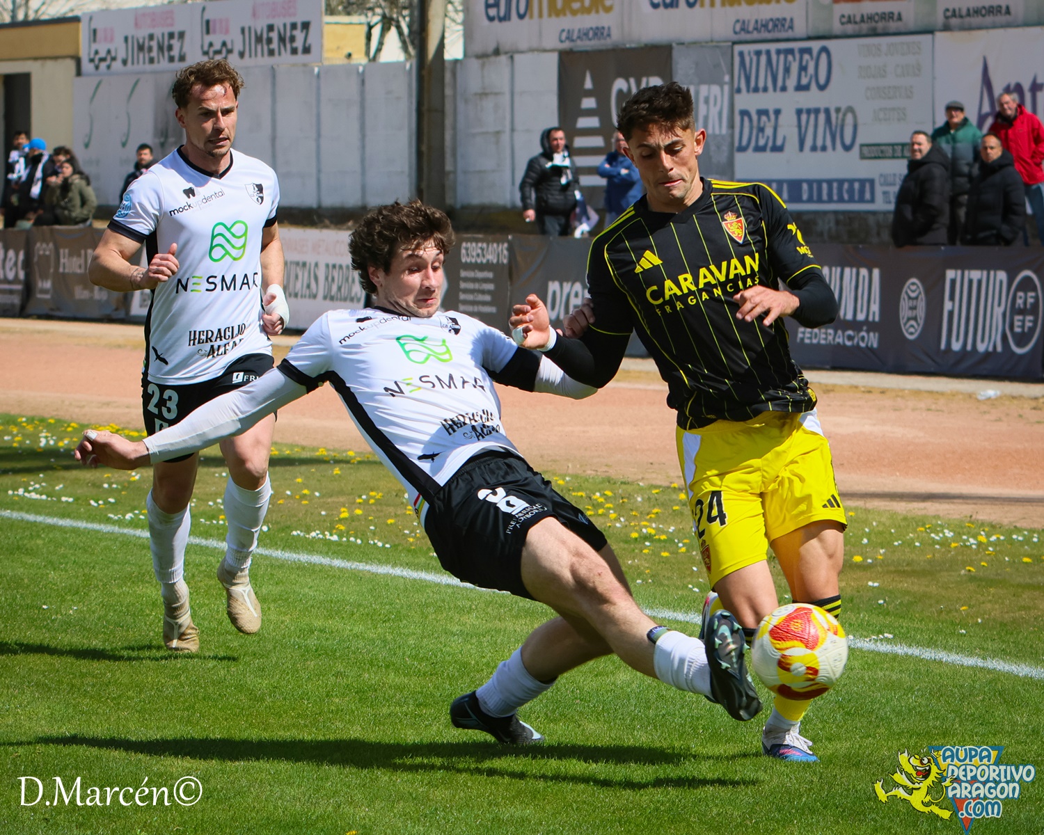 31 - 02-04-2026 - 2ªRFEF - C.D. Alfaro 3-1 D. Aragón (101)