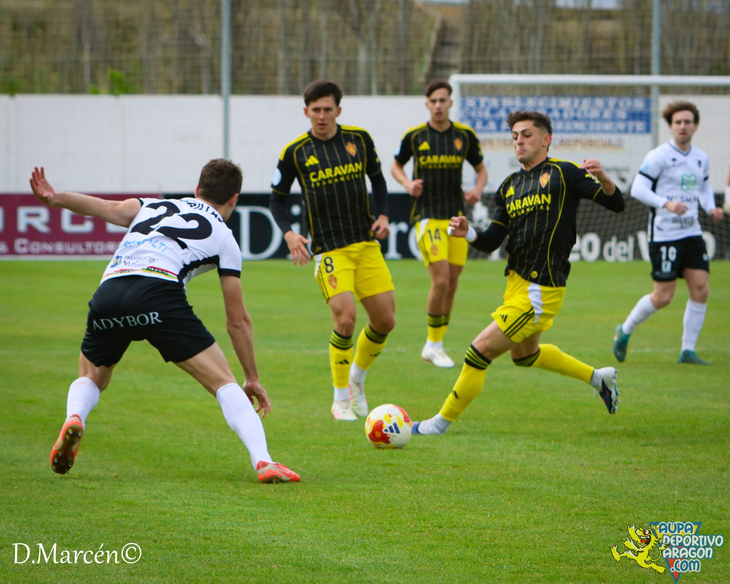 31 - 02-04-2026 - 2ªRFEF - C.D. Alfaro 3-1 D. Aragón (25)