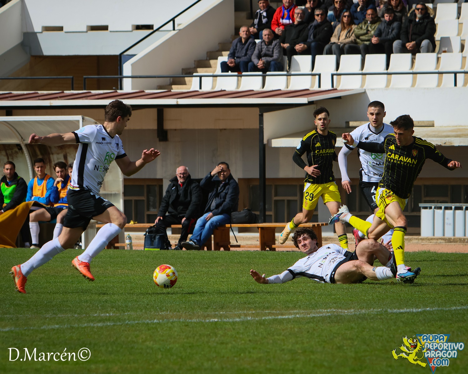 31 - 02-04-2026 - 2ªRFEF - C.D. Alfaro 3-1 D. Aragón (36)