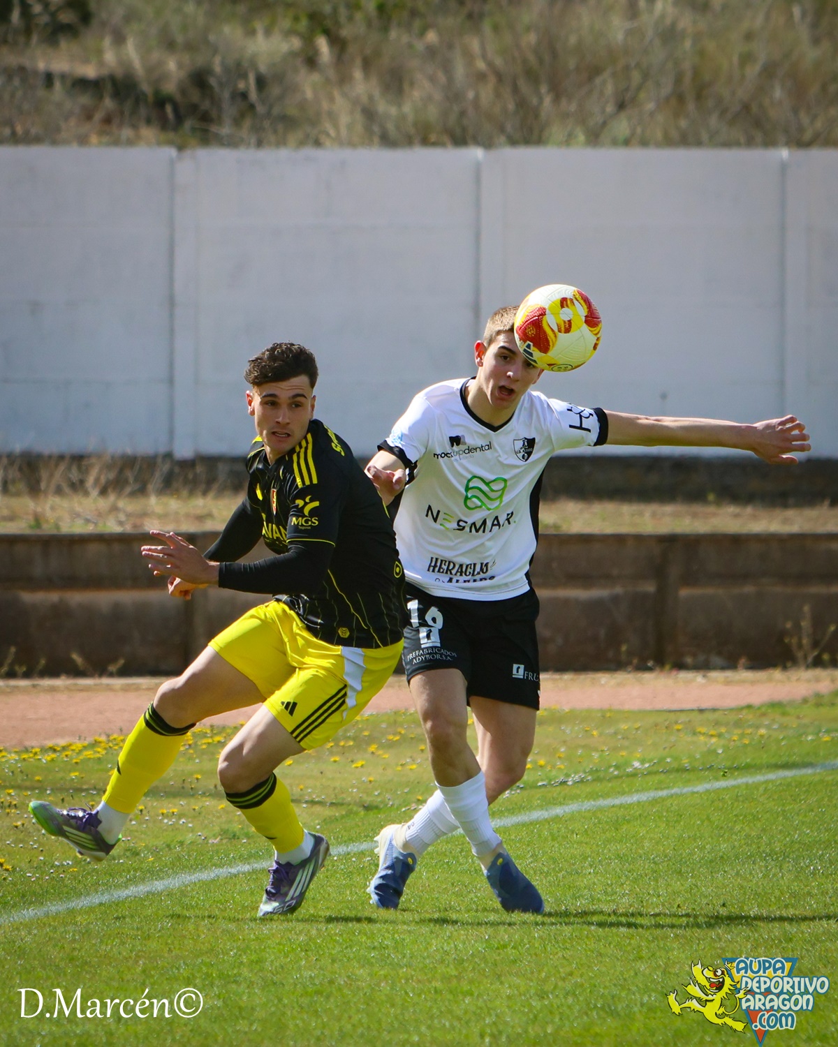 31 - 02-04-2026 - 2ªRFEF - C.D. Alfaro 3-1 D. Aragón (39)