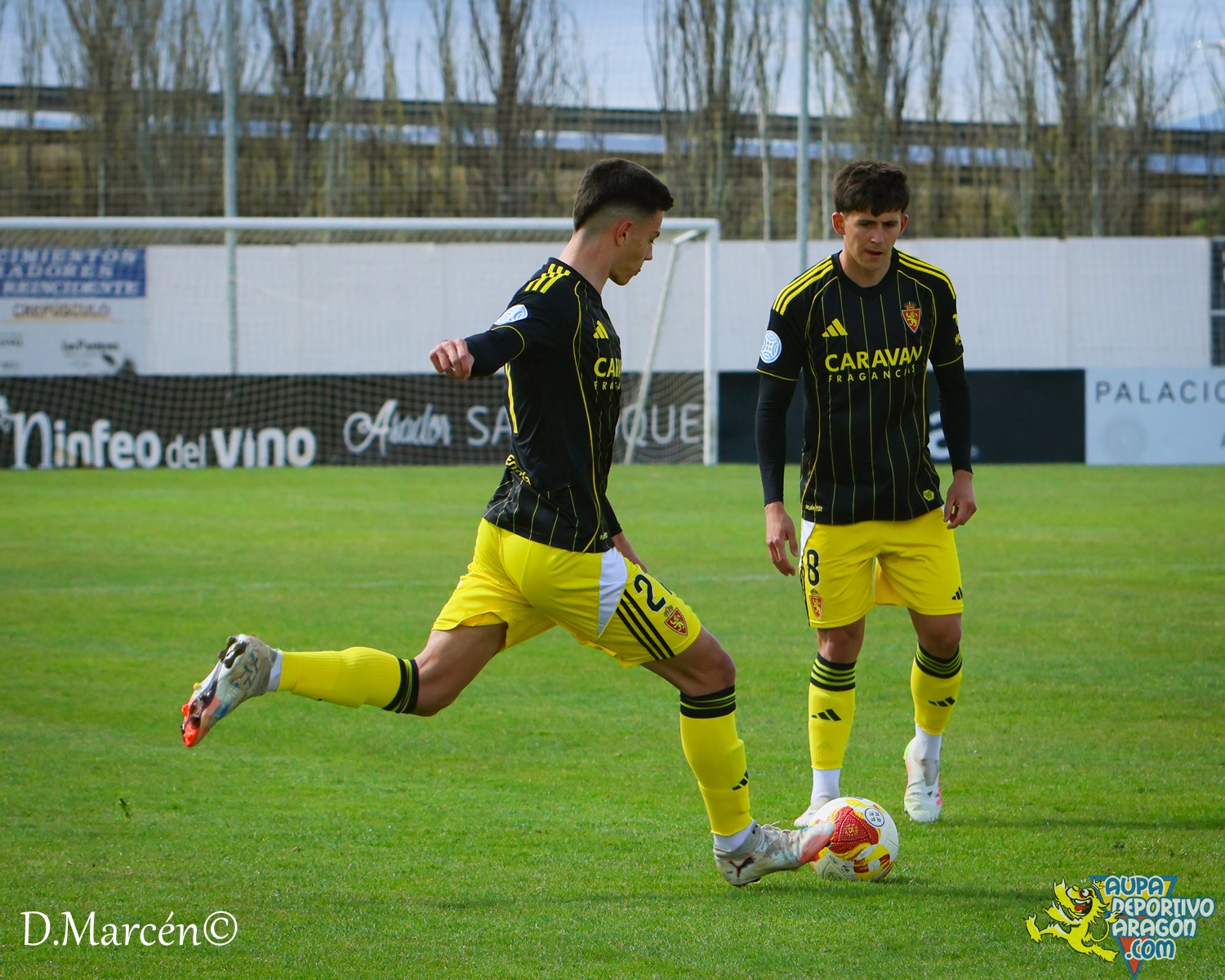 31 - 02-04-2026 - 2ªRFEF - C.D. Alfaro 3-1 D. Aragón (45)