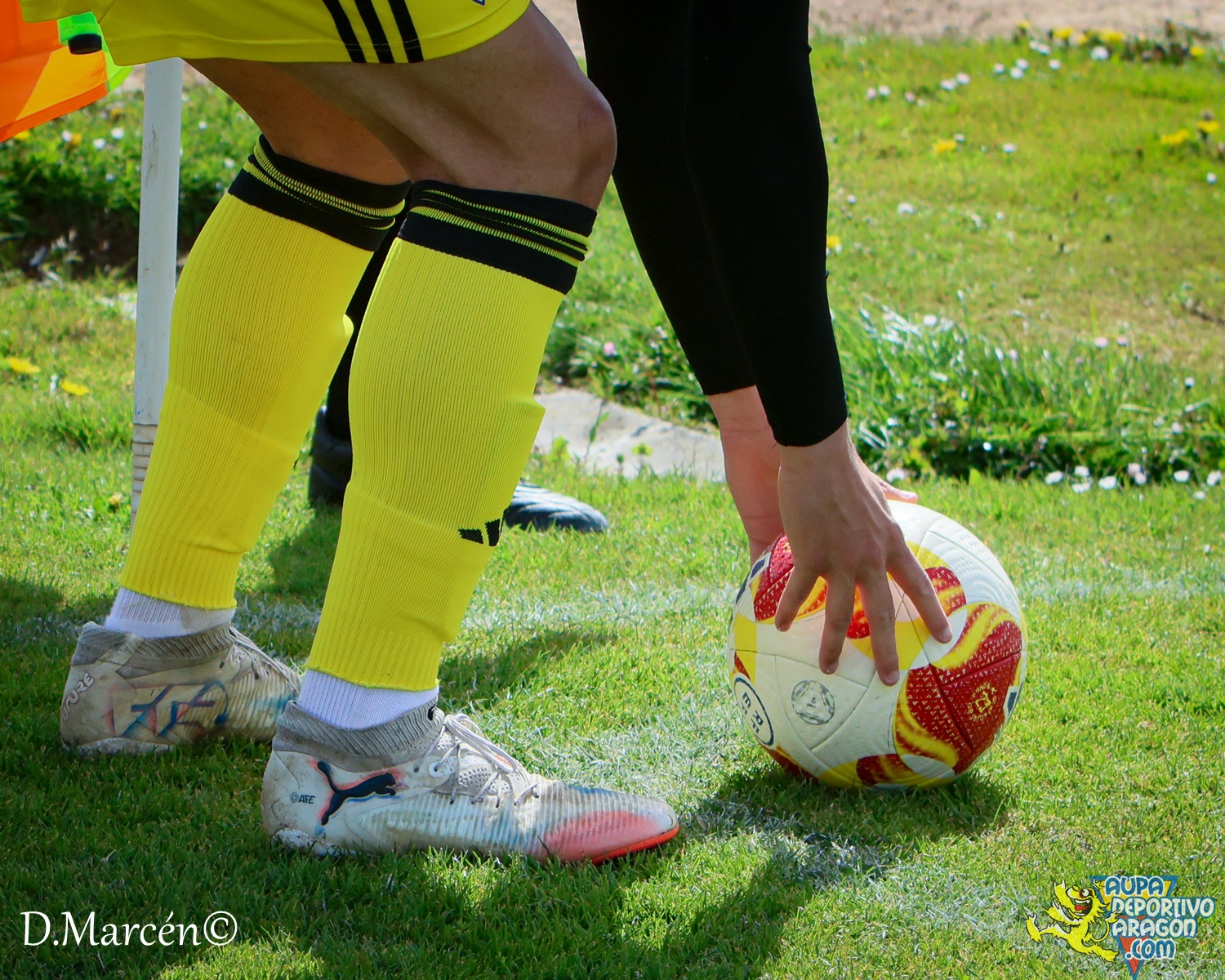 31 - 02-04-2026 - 2ªRFEF - C.D. Alfaro 3-1 D. Aragón (49)
