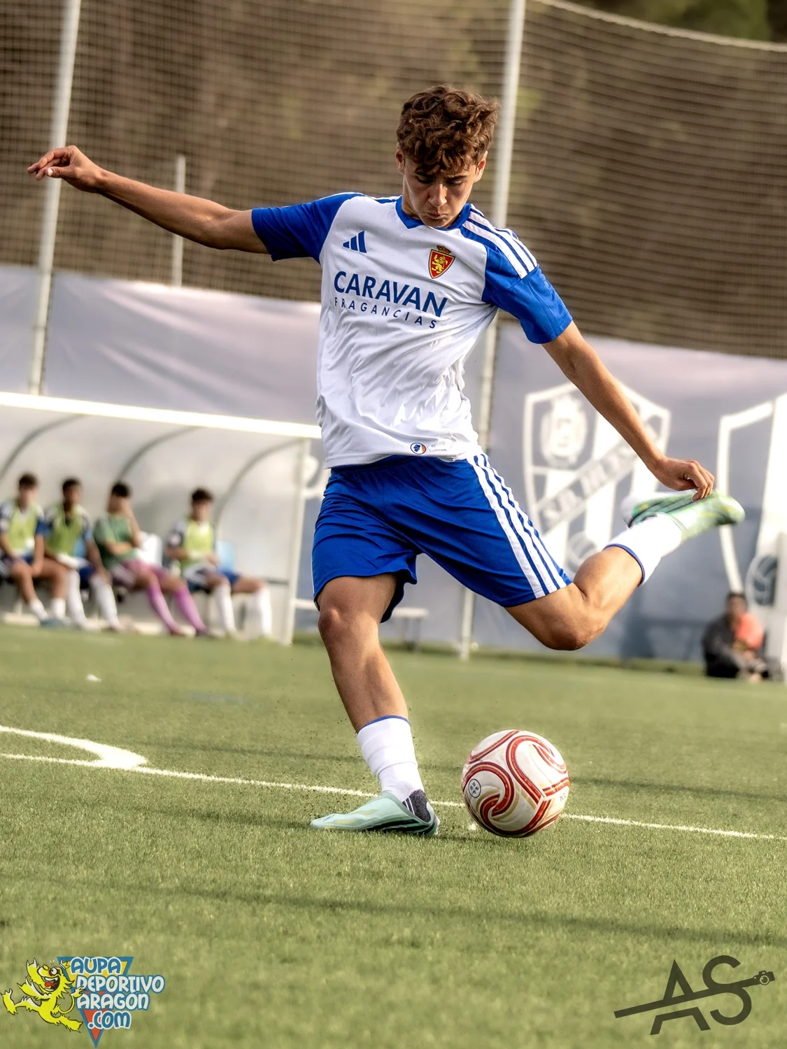 131.jpg